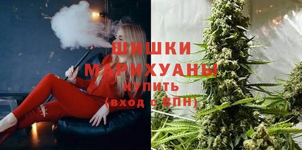 молекула духа Богородск